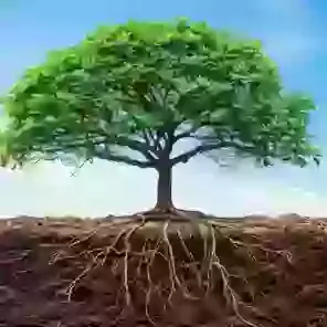 150th church anniversary: Rooted